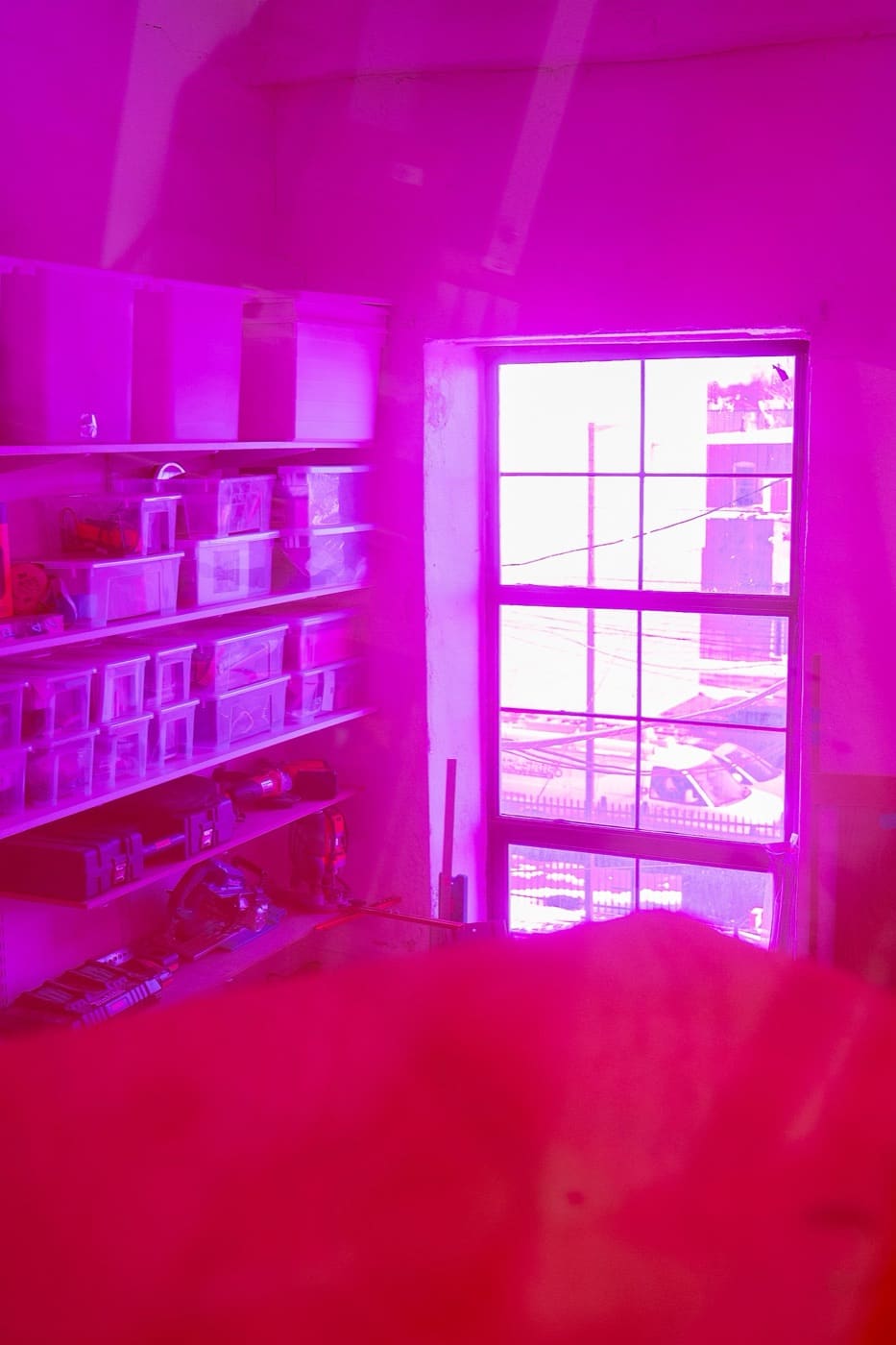 Palace studio